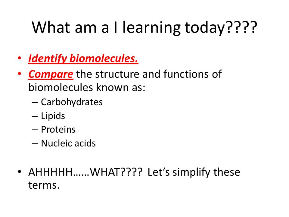 Describe the structure and function of biomolecules